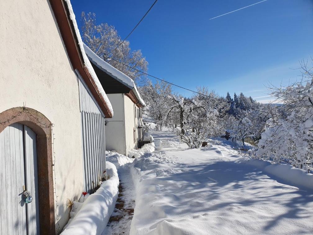 Le Nid Du Kaloui Bed and Breakfast Fréland Eksteriør billede