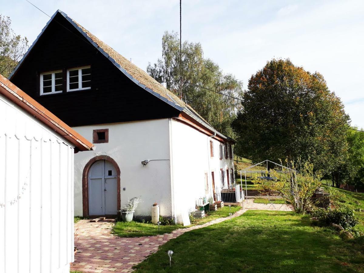 Le Nid Du Kaloui Bed and Breakfast Fréland Eksteriør billede