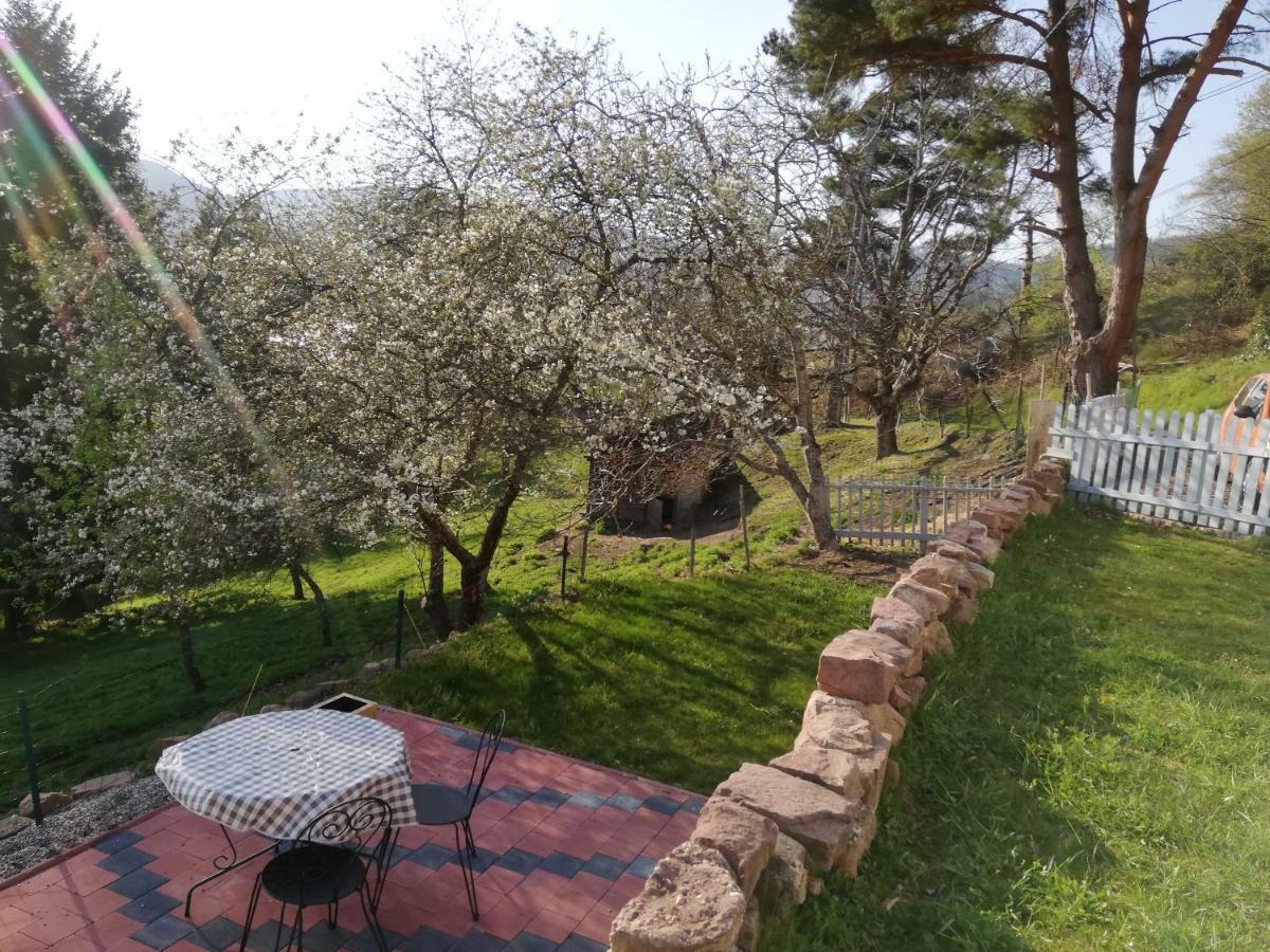 Le Nid Du Kaloui Bed and Breakfast Fréland Eksteriør billede